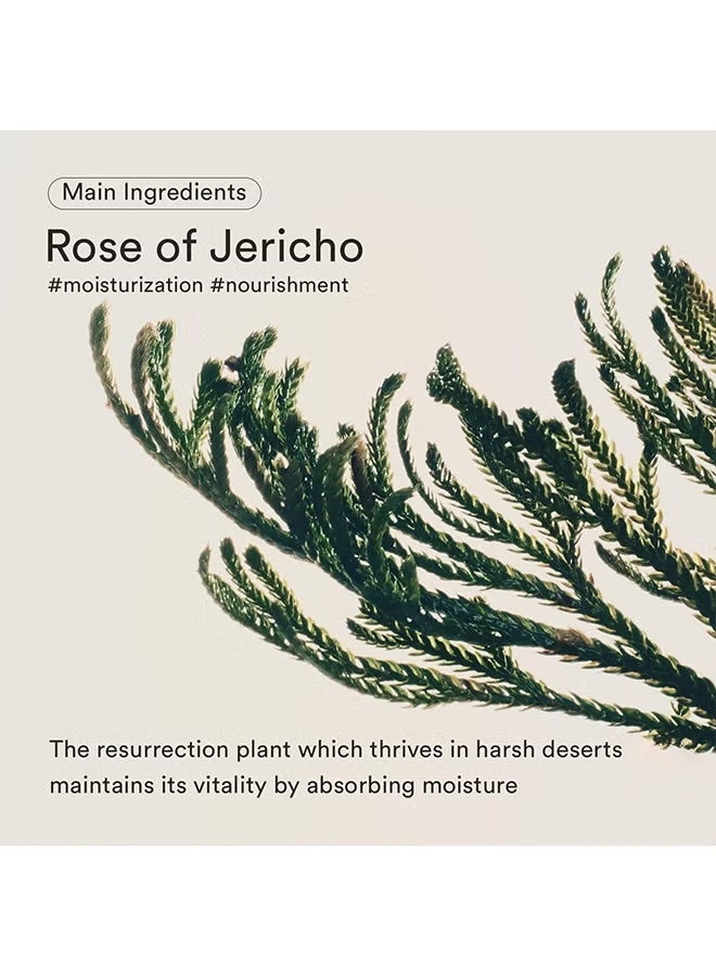 abib Jericho Rose Bifida Serum,Firming Drop 1.69 fl.oz. | Deep Hydration Serum for Dry Skin, Barrier Strength & Skin Bounce - Image 3